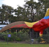 Gumbuya Park - Hervey Bay Accommodation