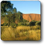  Hervey Bay Accommodation