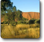 Uluru - Kata Tjuta National Park - Hervey Bay Accommodation