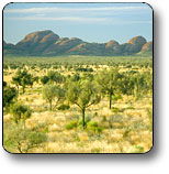 Uluru - Kata Tjuta National Park - Hervey Bay Accommodation 2
