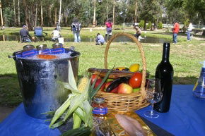 Buxton Trout And Salmon Farm - Hervey Bay Accommodation 2