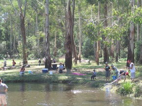 Buxton Trout And Salmon Farm - Hervey Bay Accommodation 3