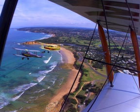 Tiger Moth World Adventure Park - Hervey Bay Accommodation 1