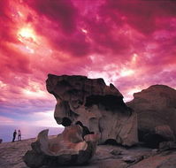 Kangaroo Island Adventure Tour 2 day/1 night - Hervey Bay Accommodation