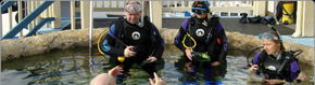 Scuba World - Tourism Hervey Bay 2