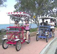 Beach Safaris