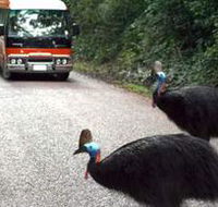 Kookaburra Tours - Hervey Bay Accommodation