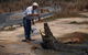 Koorana Saltwater Crocodile Farm - thumb 1