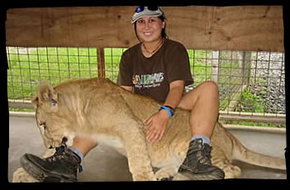 Cairns Wildlife Safari Reserve - Hervey Bay Accommodation 1