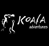 Koala Adventures - Hervey Bay Accommodation