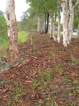 Kumbartcho Sanctuary - Hervey Bay Accommodation 1