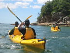 Sydney Harbour Kayaks - Hervey Bay Accommodation 1