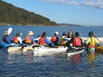 Sydney Harbour Kayaks - Hervey Bay Accommodation 2