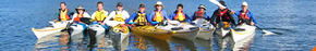 Sydney Harbour Kayaks - Hervey Bay Accommodation 3