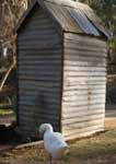 Wagga Wagga Zoo - Hervey Bay Accommodation 2