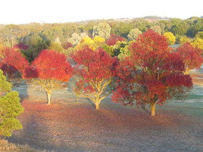 Balloon Adventures Barossa Valley - Hervey Bay Accommodation 3