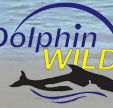 Dolphin Wild - Hervey Bay Accommodation