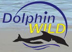 Dolphin Wild - Hervey Bay Accommodation 0