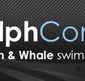 Dolphcom - Dolphin  Whale Swimming Adventures - Hervey Bay Accommodation