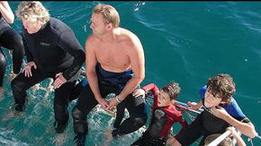 Dolphcom - Dolphin & Whale Swimming Adventures - Tourism Hervey Bay 2