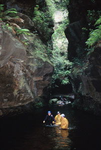 High And Wild Mountain Adventures - Tourism Hervey Bay 1