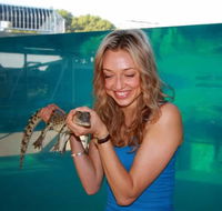 Crocosaurus Cove - Hervey Bay Accommodation