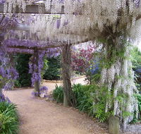 Abingdon Miniature Village - Hervey Bay Accommodation