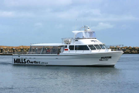 Mills Charters Fishing And Whale Watch Cruises - Hervey Bay Accommodation 1