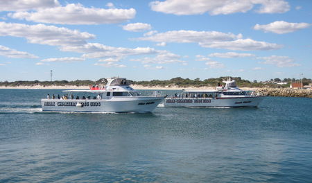 Mills Charters Fishing And Whale Watch Cruises - Hervey Bay Accommodation 2