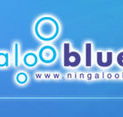 Ningaloo Blue Dive - Hervey Bay Accommodation