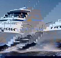 Sunshine Coast Fishing Charters - Hervey Bay Accommodation