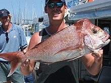 Sunshine Coast Fishing Charters - Tourism Hervey Bay 2