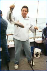 Able Fishing Charters - Hervey Bay Accommodation 2