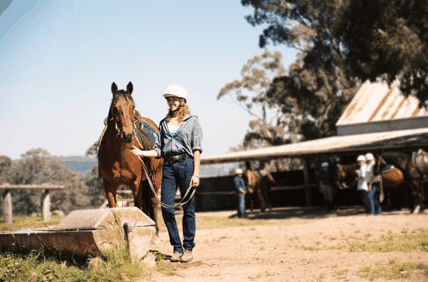 Watsons Trail Rides - Hervey Bay Accommodation 0