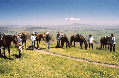 Watsons Trail Rides - Hervey Bay Accommodation 1