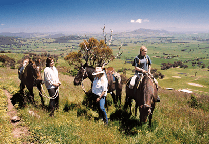 Watsons Trail Rides - Hervey Bay Accommodation 2