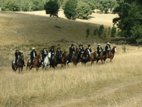 McCormacks Mountain Valley Trail Rides - Hervey Bay Accommodation
