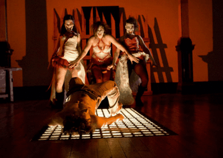 Zen Zen Zo Physical Theatre - Hervey Bay Accommodation 1
