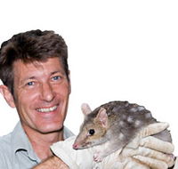 Geckoes Wildlife Presentations - Hervey Bay Accommodation