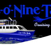 Cat O' NineTails - Hervey Bay Accommodation