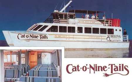 Cat O' NineTails - Hervey Bay Accommodation 1