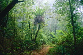 Canungra QLD Hervey Bay Accommodation