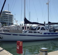 Coral Sea Dreaming Dive and Sail - Tourism Hervey Bay