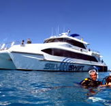 Silver Swift - Tourism Hervey Bay