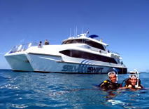 Silver Swift - Hervey Bay Accommodation 0