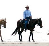 Ride the Beach - Tourism Hervey Bay