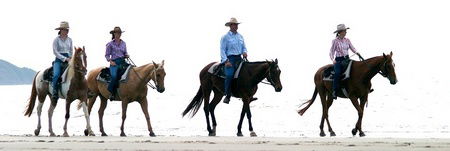 Ride The Beach - Hervey Bay Accommodation 0