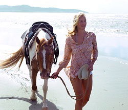 Ride The Beach - Hervey Bay Accommodation 3