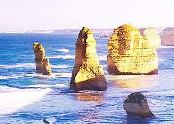 Bunyip Tours - Hervey Bay Accommodation 3