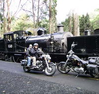 Andy's Harley Rides - Hervey Bay Accommodation